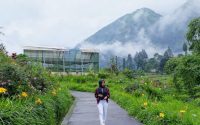 Tempat Wisata Di Probolinggo Terbaru 2023