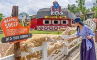 Harga Wahana Dan Tiket Cimory Dairyland Puncak 2023