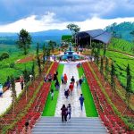 wisata di Bogor belajar tentang flora