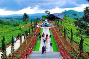 wisata di Bogor belajar tentang flora