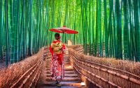 Tempat Wisata Terbaik Dan Terpopuler Di Asia Timur