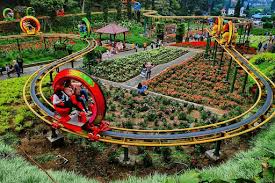 10 Rekomendasi Wisata Outbound Bonding Karyawan